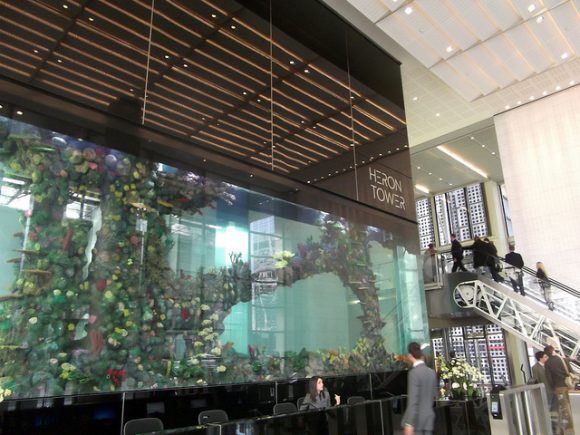 The fish tank in Salesforce Tower
